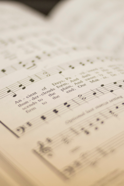 michael-maasen-bu-6kNWQj6U-unsplash michael-maasen-bu-6kNWQj6U-unsplash